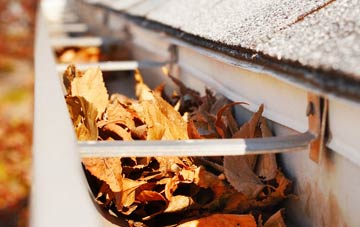 Crowsnest gutter cleaning companies