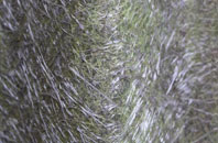 Crowsnest fibreglass roof work